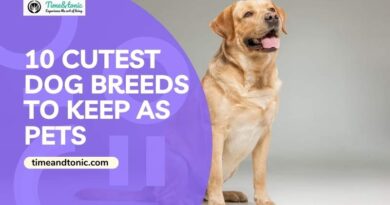 Cutest Dog Breeds