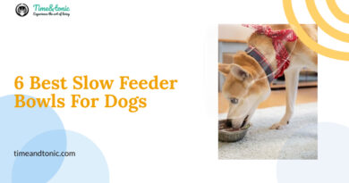 Slow Feeder Bowls For Dogs