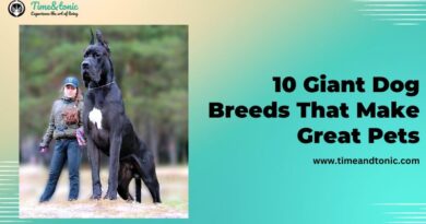 Giant Dog Breeds