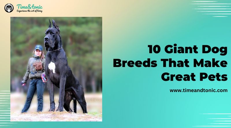 Giant Dog Breeds