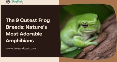 Cutest Frog Breeds