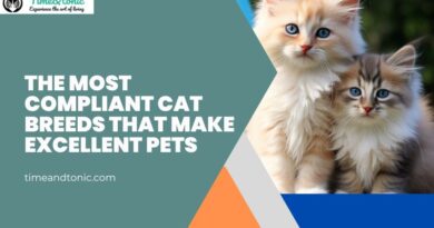 Most Compliant Cat Breeds